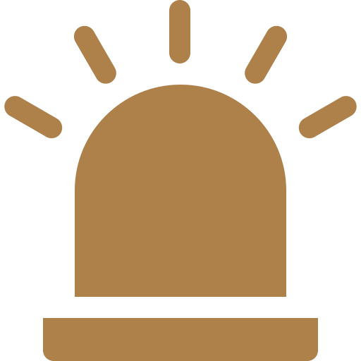 Carbon monoxide alarm Icon