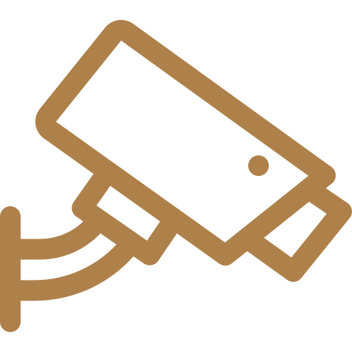 Doorbell cameras at entrances Icon